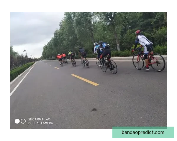 半岛体育入口网站全面解析 快速了解最新体育资讯与在线娱乐功能