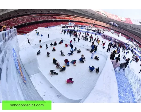 半岛体育官网：全面解析最新赛事动态与用户体验优化