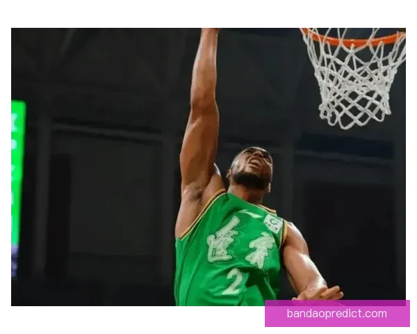 辽宁新外援莱迪自述全面实力为胜利甘愿付出一切